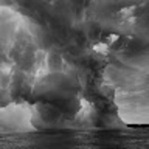 Meet your Posher, Krystal